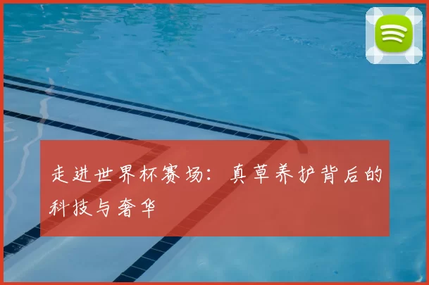 走进世界杯赛场:真草养护背后的科技与奢华