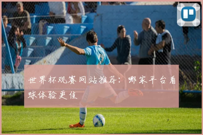 世界杯观赛网站推荐：哪家平台看球体验更佳