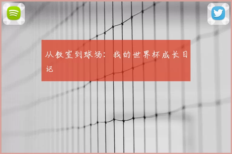 从教室到球场：我的世界杯成长日记