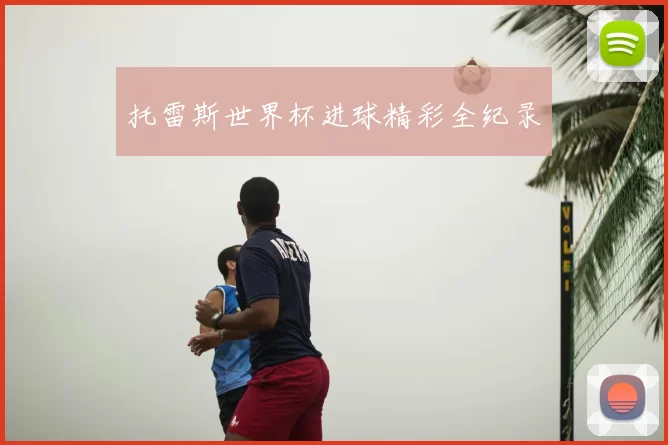 托雷斯世界杯进球精彩全纪录