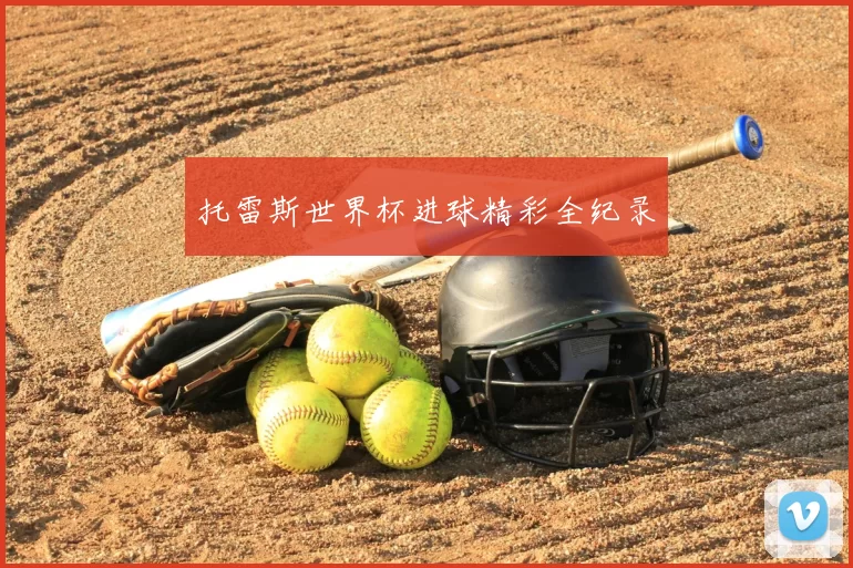 托雷斯世界杯进球精彩全纪录