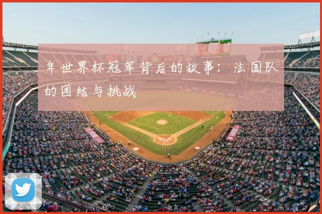 年世界杯冠军背后的故事：法国队的团结与挑战