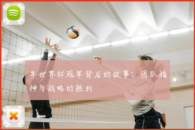 年世界杯冠军背后的故事：团队精神与战略的胜利