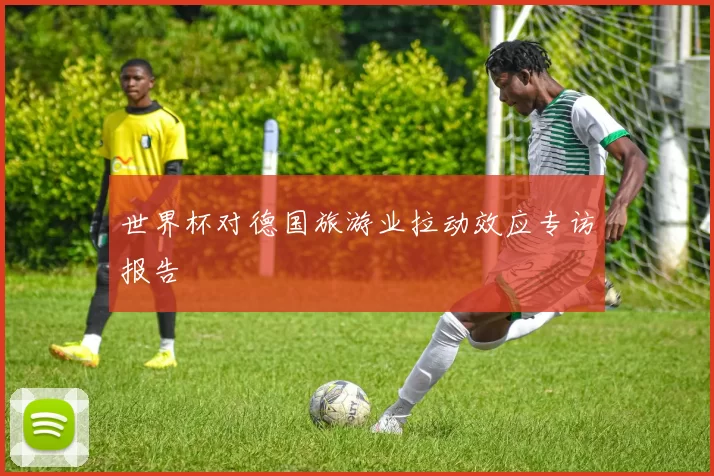 世界杯对德国旅游业拉动效应专访报告
