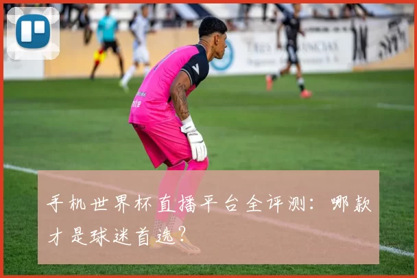 手机世界杯直播平台全评测：哪款才是球迷首选？