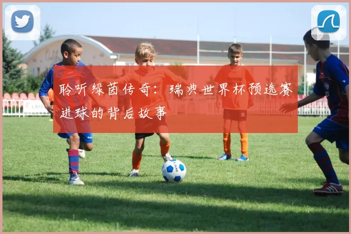 聆听绿茵传奇:瑞典世界杯预选赛进球的背后故事