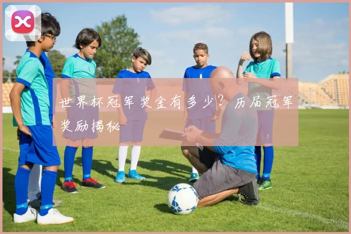 世界杯冠军奖金有多少?历届冠军奖励揭秘