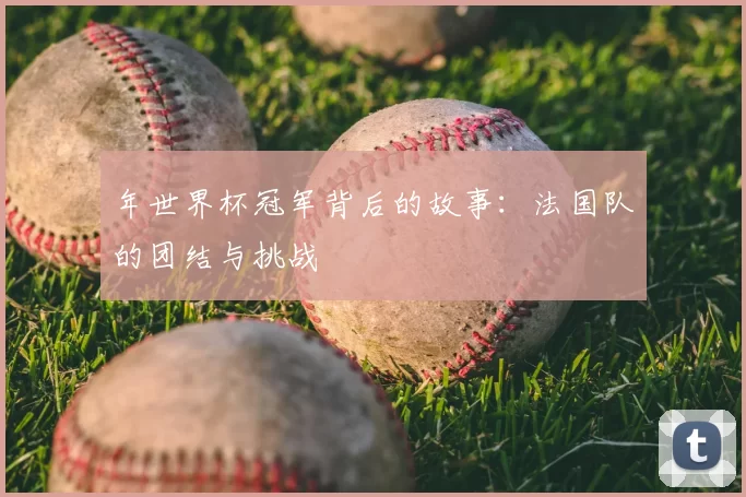 年世界杯冠军背后的故事：法国队的团结与挑战