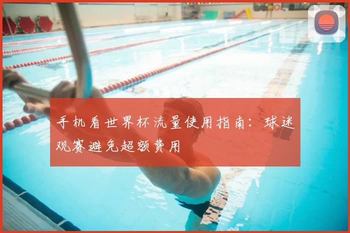 手机看世界杯流量使用指南：球迷观赛避免超额费用