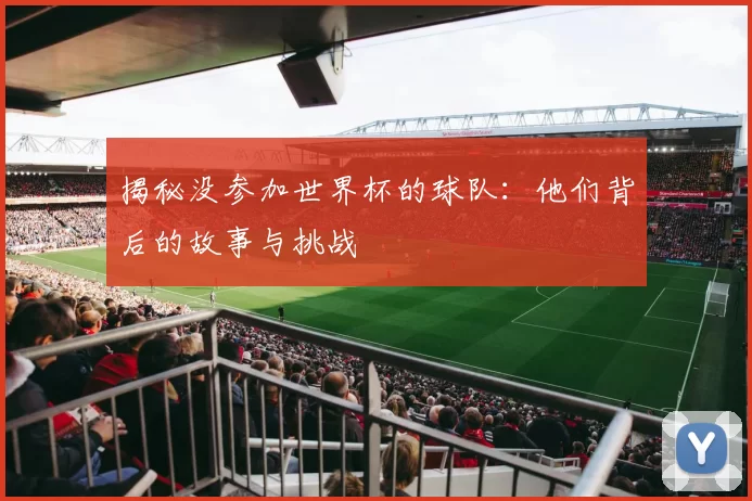 揭秘没参加世界杯的球队:他们背后的故事与挑战