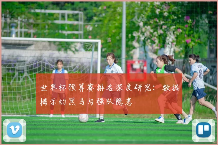 世界杯预算赛排名深度研究:数据揭示的黑马与强队隐患