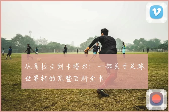 从乌拉圭到卡塔尔:一部关于足球世界杯的完整百科全书