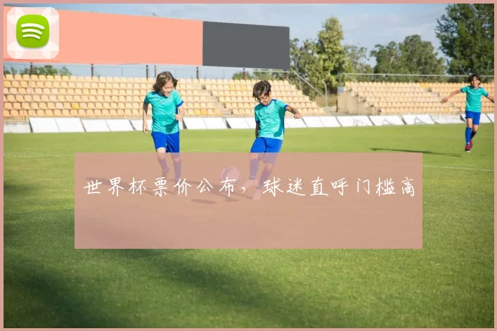 世界杯票价公布,球迷直呼门槛高