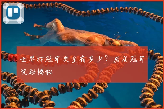 世界杯冠军奖金有多少?历届冠军奖励揭秘