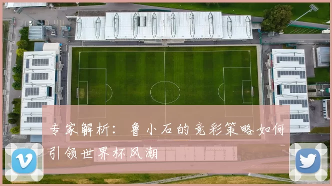 专家解析:鲁小石的竞彩策略如何引领世界杯风潮