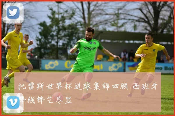 托雷斯世界杯进球集锦回顾 西班牙锋线锋芒尽显