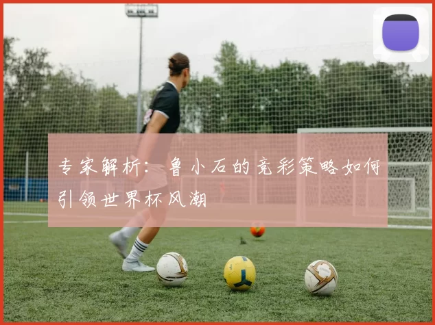 专家解析:鲁小石的竞彩策略如何引领世界杯风潮